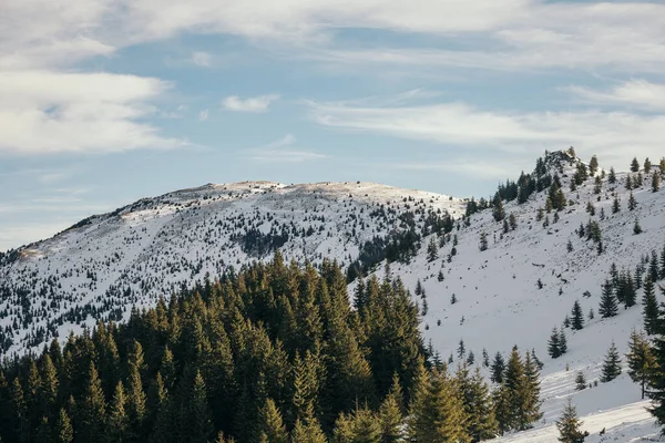 Ein Mann steht auf einem schneebedeckten Berg — Stockfoto