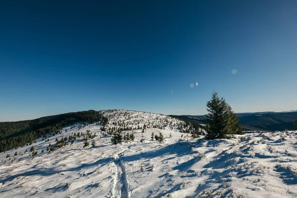 一个男人骑着雪橇沿着积雪覆盖的斜坡滑行 — 图库照片