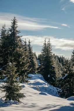 Karla kaplı yamaçta kayak yapan bir adam.