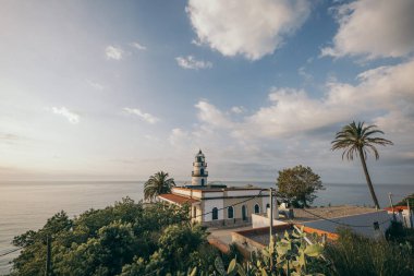 Arka planda bir bina bulunan bir grup palmiye ağacı.