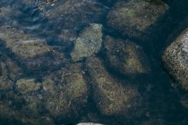 Bir kayaya yakın çekim