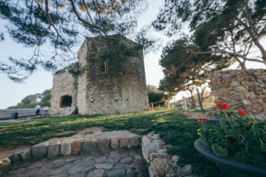 Çimenli ve ağaçlı büyük bir taş bina.