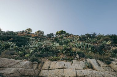 Büyük bir kayanın yakın çekimi.