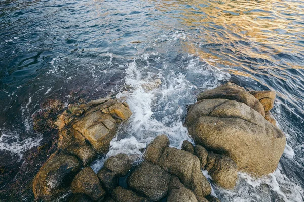 Un primo piano di una roccia vicino all'acqua — Foto Stock