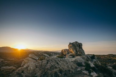 Kaya üzerinde oturan bir kuş