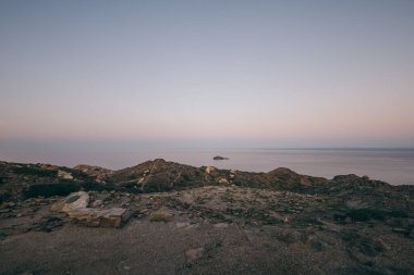 Okyanusun yanındaki kumlu sahilde oturan bir kuş.
