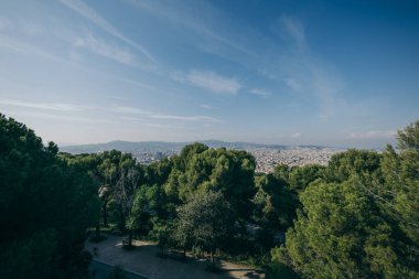 Arkasında dağ olan bir ağaç.