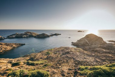 Bir su kütlesinin yanında kayalık bir sahil.