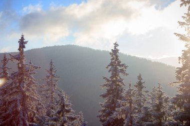 Bir dağın önünde duran bir grup insan.