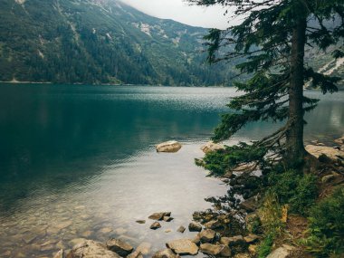 Arka planda dağ olan bir su kütlesi.