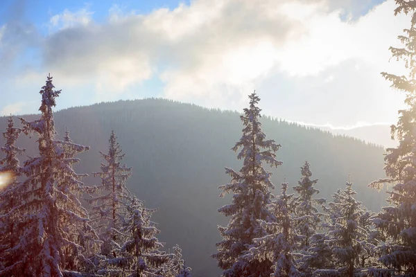Bir dağın önünde duran bir grup insan.