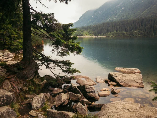 Um rio rochoso com árvores ao lado de uma montanha — Fotografia de Stock