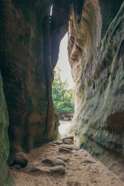 Bir grup zürafa bir kaya duvarının yanında duruyor.