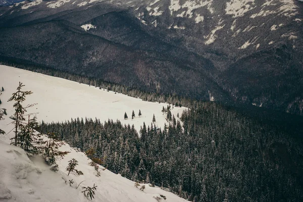 Blick auf einen schneebedeckten Berg — Stockfoto