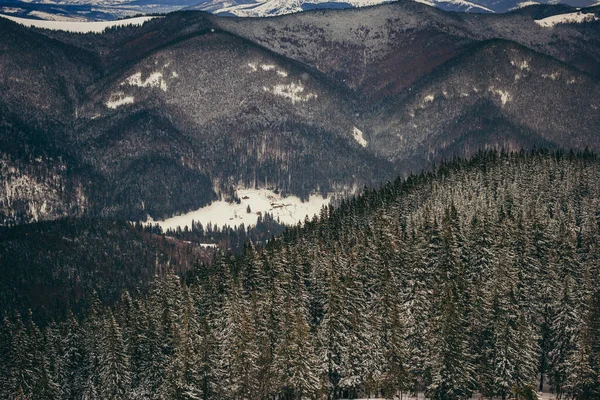 Eine Gruppe von Menschen steht auf einem Berg — Stockfoto