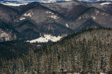 Bir dağın tepesinde duran bir grup insan.