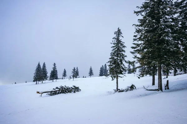 Uma inclinação coberta de neve uma viagem — Fotografia de Stock