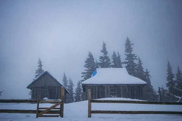 雪に覆われた建物 — ストック写真