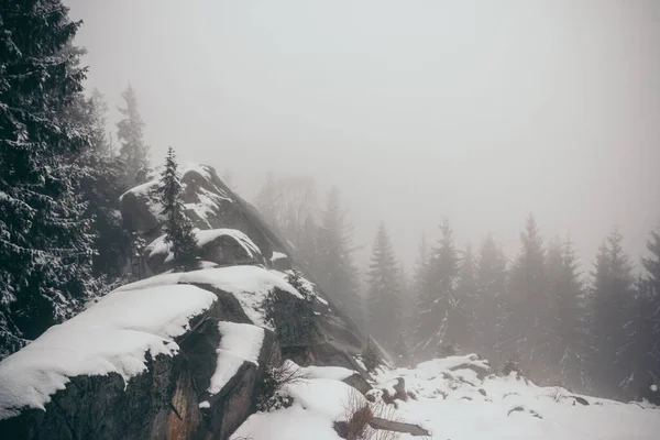 Ein Mann auf einem schneebedeckten Hang — Stockfoto