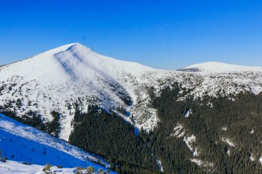 Karla kaplı bir dağın tepesinde duran bir grup insan.