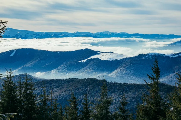 Una señal sobre una montaña cubierta de nieve —  Fotos de Stock