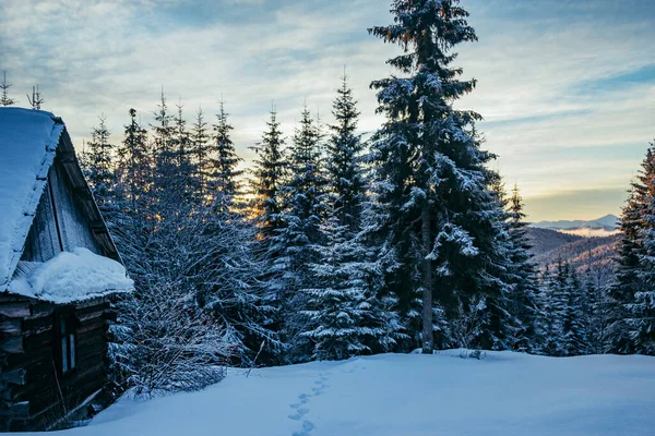 Sebuah rumah yang diselimuti salju — Stok Foto