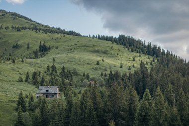 Arkasında dağ olan bir ağaç.
