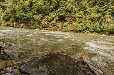 Bir su kütlesinin yanında kayalık bir sahil.