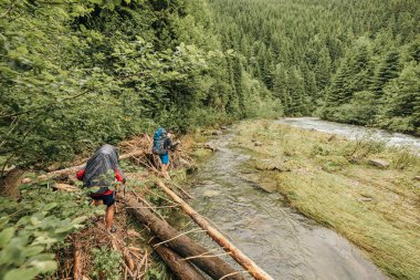 Ormanlık alanda akan bir nehir.
