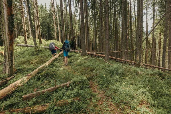 Людина в лісистій місцевості — стокове фото