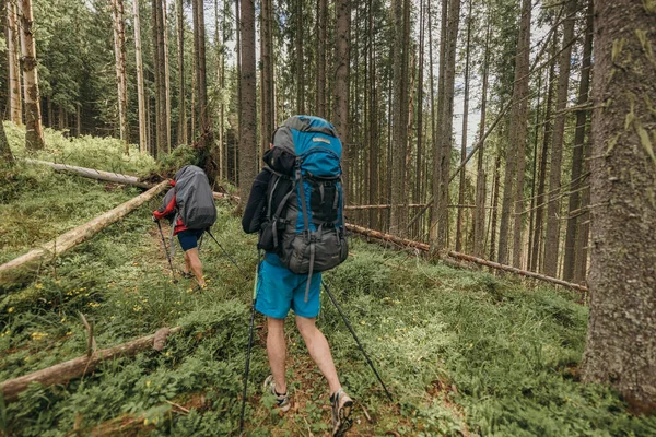 En grupp människor i en skog — Stockfoto