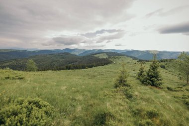 Dağın yamacında bir işaret.