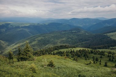 Dağın yamacında bir işaret.