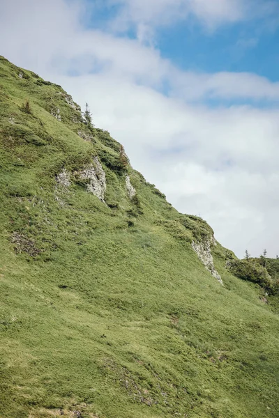 Eine Schafherde steht auf einem saftig grünen Hügel — Stockfoto