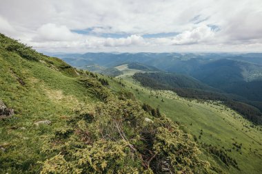 Bir dağın yamacının manzarası
