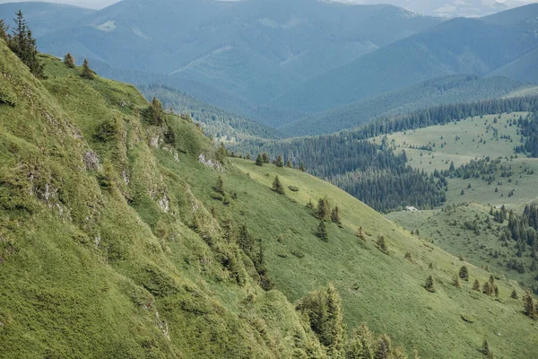 Un canyon avec une montagne en arrière-plan — Photo