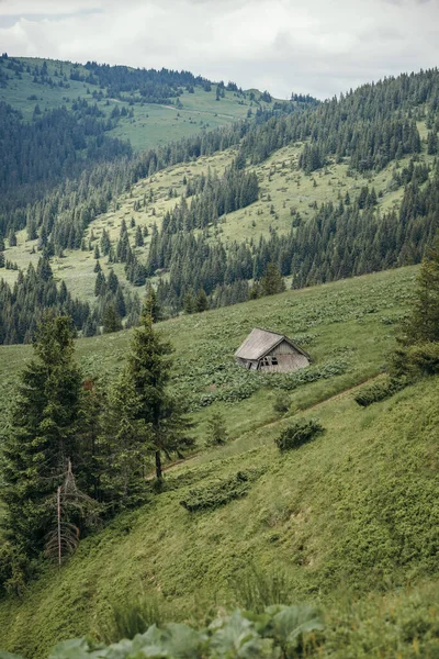 Крупный план склона холма рядом с горой — стоковое фото