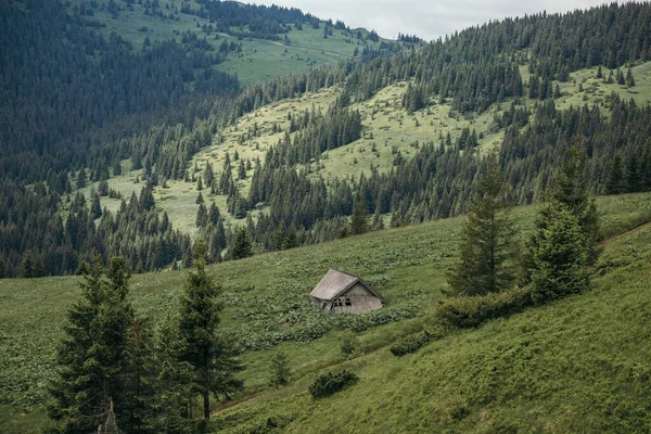 Um close-up de uma colina ao lado de uma montanha — Fotografia de Stock