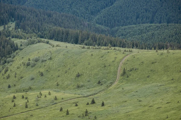 A train is on the side of a mountain — Stock Photo, Image