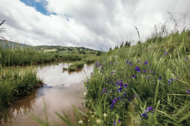 Gölette uçurtma uçuran biri.