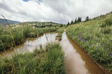 Bir tren nehrin kenarında.