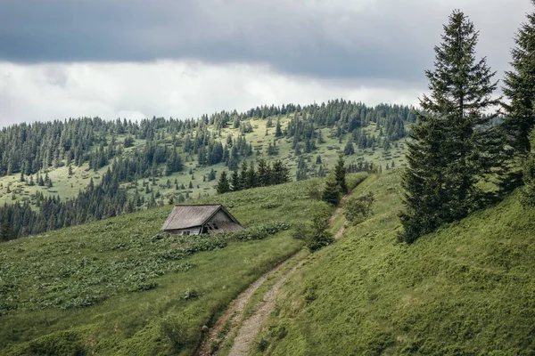 Nahaufnahme eines sattgrünen Berghangs — Stockfoto