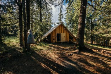 Ormandaki eski bir ahır