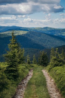 Arkasında dağ olan bir ağaç.