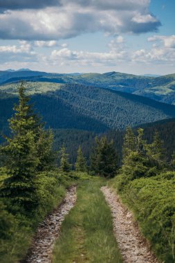 Arkasında dağ olan bir tabela.