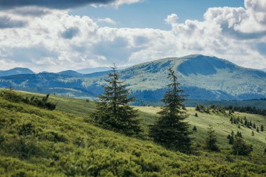 Arkasında dağ olan bir tarla.