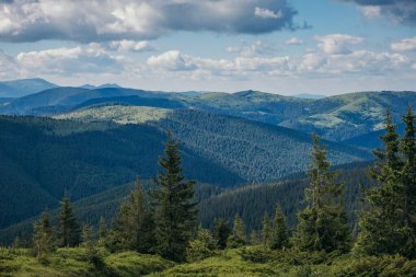 Dağın yamacında bir işaret.