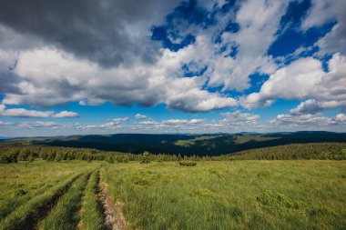 Gökyüzünde bulutlar olan büyük yeşil bir alan.