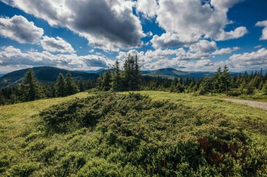 Arkasında dağ olan bir tarla.
