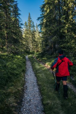 Ormanın yanında duran biri.